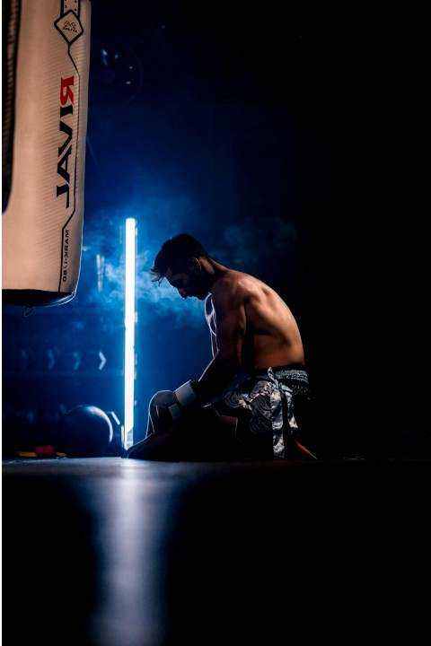 Boxhandschuhe